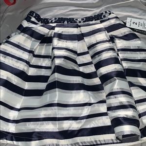 Striped Skirt